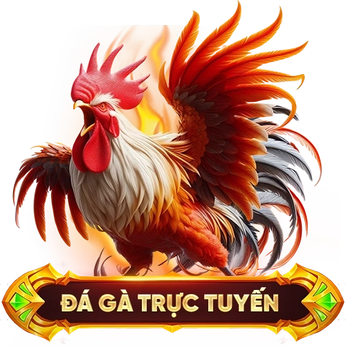 đá gà trực tuyến SV66